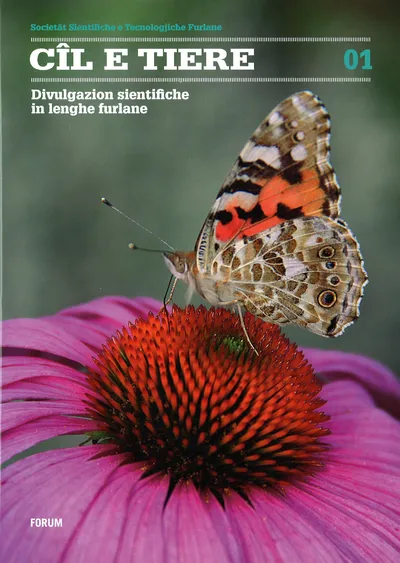Copertina di Cîl e tiere
