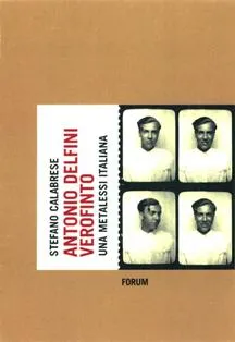 Copertina di Antonio Delfini verofinto