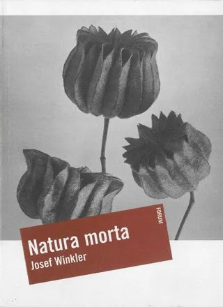 Copertina di Natura morta