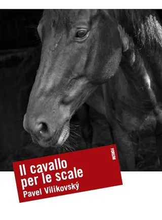 Copertina di Il cavallo per le scale