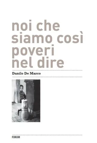 Copertina di Noi che siamo così poveri nel dire