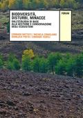7804a6ab_cover.jpg