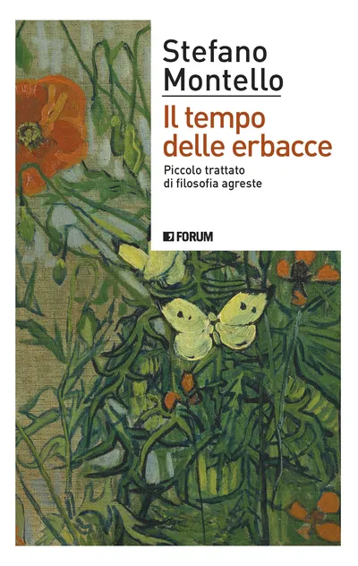 Copertina di Il tempo delle erbacce