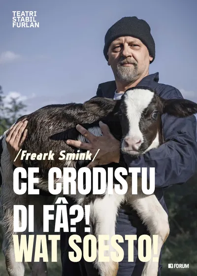 Copertina di Ce crodistu di fâ?! / Wat soesto!