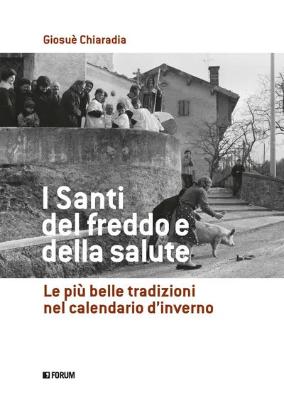 Copertina di I Santi del freddo e della salute