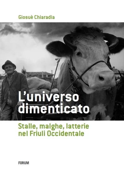 Copertina di L'universo dimenticato