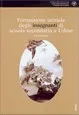 Copertina di Formazione iniziale degli insegnanti di scuola secondaria a Udine