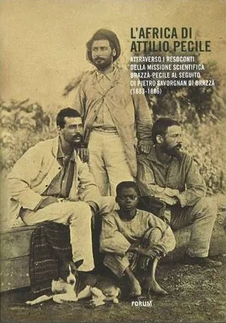 Copertina di L'Africa di Attilio Pecile