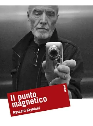 Copertina di Il punto magnetico